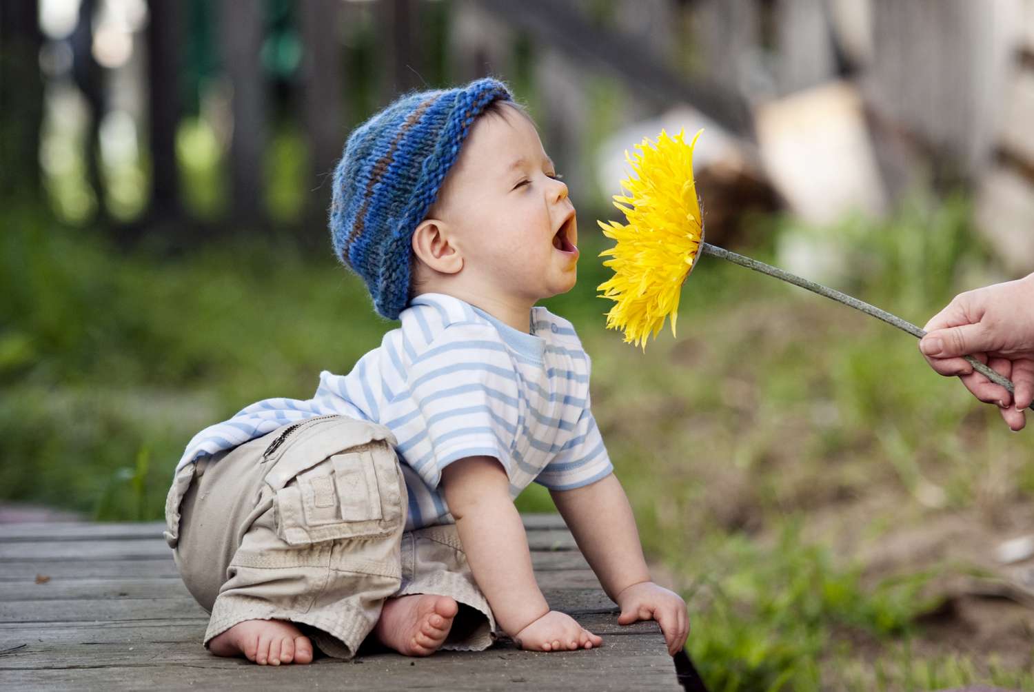 Little boy smelling a yellow flower